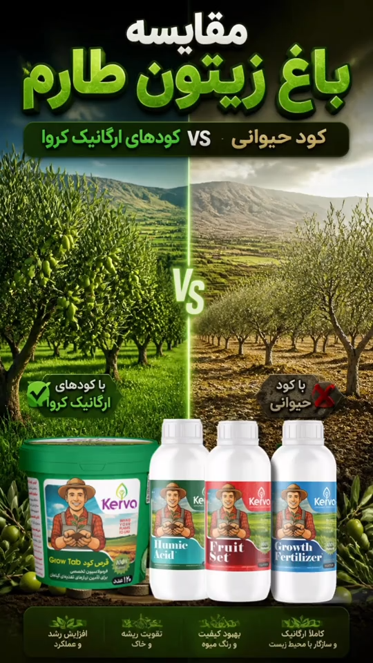رضایت مشتری