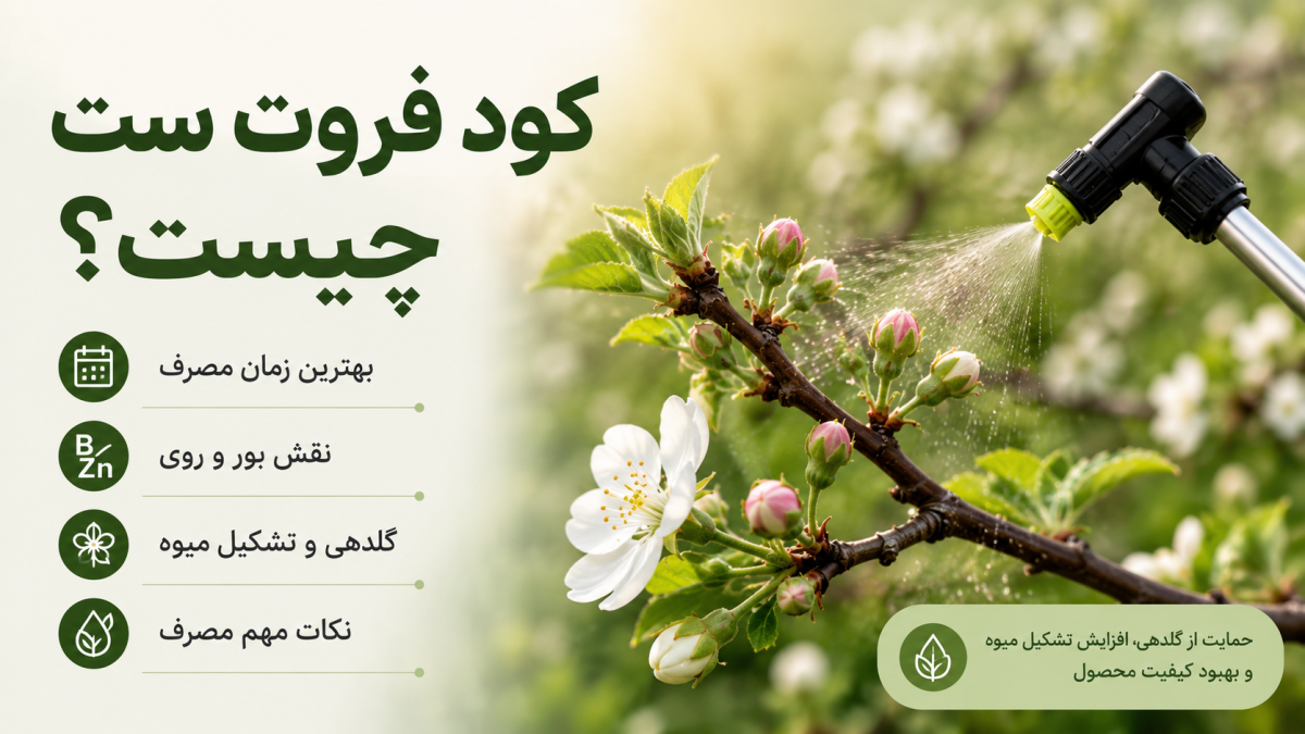 کود فروت ست چیست؟ بهترین زمان مصرف و نکات مهم برای افزایش تشکیل میوه