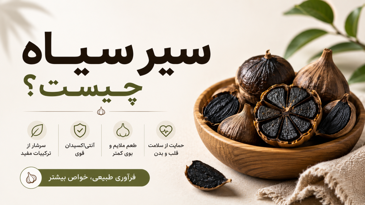 سیر سیاه چیست؟ خواص، تفاوت با سیر معمولی و روش مصرف