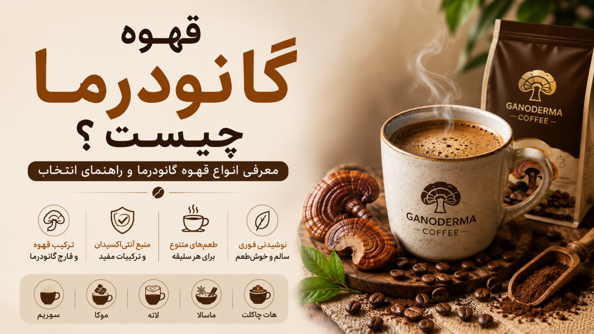قهوه گانودرما چیست؟ معرفی انواع قهوه گانودرما و راهنمای انتخاب